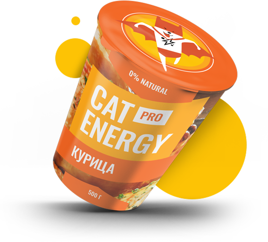 energy cat